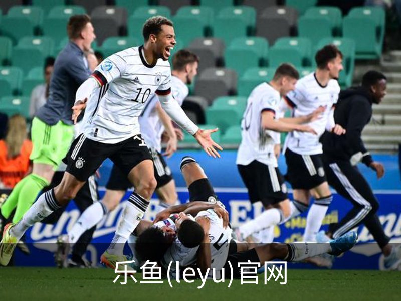 乐鱼(leyu)官网概况